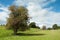 Agricultural scenery in the English countryside.