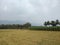 Agricultural sector, Paddy fields and plantain farming in Kanyakumari district, Tamil Nadu