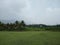 agricultural sector, plantain farming in Kanyakumari district, Tamil Nadu