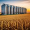 Agricultural Silos for storage and drying of Beautiful landscape of sunset over wheat field at