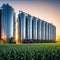 Agricultural Silos for storage and drying of Beautiful landscape of sunset over wheat field at