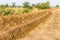 Agricultural soils trench