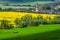 Agricultural spring colza and wheat field over village - rural scenery with church and houses - colorful photo