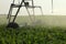 Agricultural sprinkler heads irrigating sugar beets growing in an Idaho.