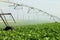 An agricultural sprinkler system irrigating a field of Idaho sugar beets.