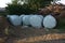 Agricultural storage lot where several bales of hay silage wrapped in foil are sitting next to a pile of timber