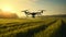 Agricultural technology concept. drone flies over green field and sprays useful pesticides to increase productivity destroys