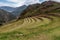 Agricultural terraces of Inca ruins of Pisac, Peru