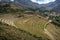 Agricultural terraces of Inca ruins of Pisac, Peru