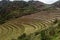 Agricultural terraces of Inca ruins of Pisac, Peru