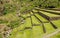 Agricultural terraces at the Inca site Pisac, Peru