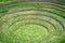 Agricultural terraces in Moray, Peru