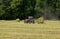 Agricultural Tractor on Hayfield