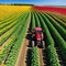 Agricultural tractors in fields of sunflowers in sowing and ensuring