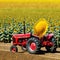 Agricultural tractors in fields of sunflowers in sowing and ensuring