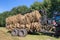 Agricultural vehicle filled with round hay bales