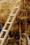 Agricultural wagon with stacked straw