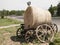Agricultural wagon with stacked straw bales