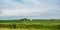 Agricultural web banner of crop farms in midwest