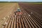 Agricultural work on a tractor farmer sows grain. Hungry birds are flying behind the tractor, and eat grain from the arable land