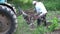 agricultural work on a tractor, mechanized potato processing, potato plowing