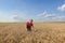 Agriculture, agronomist examine wheat field