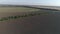 Agriculture, aircraft flies over field with wheat and splashing insecticides against parasite in view from above of