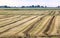 Agriculture along the Adriatic Sea, Italy