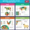 Agriculture, animal husbandry infographics, Vector illustrations