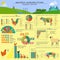 Agriculture, animal husbandry infographics, Vector illustrations