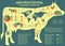 Agriculture, animal husbandry infographics, Vector illustrations