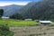 Agriculture of Arunachal Pradesh