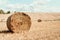 Agriculture background with copy space. Harvested field with straw bales. Summer and autumn harvest concept