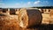 Agriculture beauty in nature rolled up hay bales in meadow generated by AI