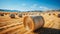 Agriculture beauty in nature rolled up hay bales in meadow generated by AI