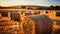 Agriculture beauty in nature yellow meadow, rolled up haystacks generated by AI