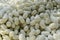 Agriculture of Breeding many white silkworms texture
