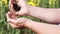 Agriculture. Close-up shot of male hands with sunflower seeds