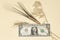 Agriculture concept. ears of wheat on a banknote of an american dollar closeup