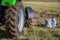 Agriculture concept. Tractor wheel covered with mud, sack with seed, blur farm background