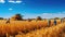 agriculture corn harvesting