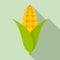 Agriculture corn icon, flat style