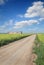 Agriculture, country road through canola field