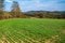 Agriculture countryside with green field, woods and hills and blue sky in spring sunny day, Jablonna