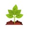 agriculture cultive isolated icon