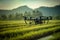 Agriculture drone flying on rice farm to sprayed fertilize. AI Generative