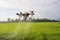 Agriculture drone flying and spraying fertilizer and pesticide over farmland,High technology innovations and smart farming