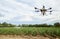 Agriculture drones fly on corn fields