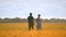 Agriculture engineer walking with female student in wheat field at summer