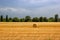 Agriculture farm field haystack calm landscape. Haystack roll on an agricultural field of central asia